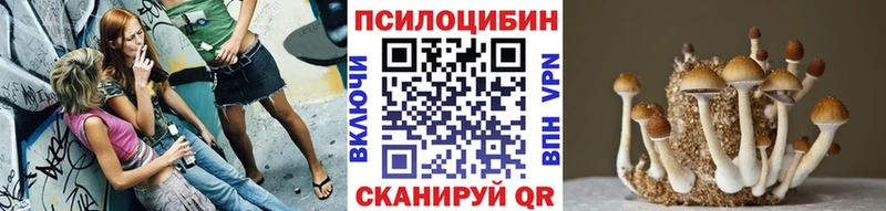 Галлюциногенные грибы Cubensis  KRAKEN сайт  Керчь  продажа наркотиков 