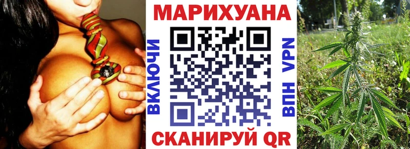 Конопля гибрид  Керчь 